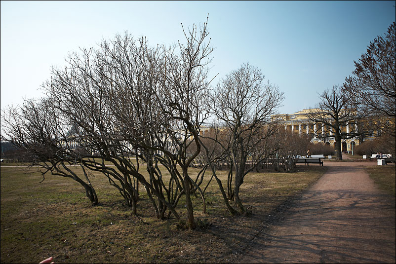 Санкт-Петербург. Апрель 2010 года