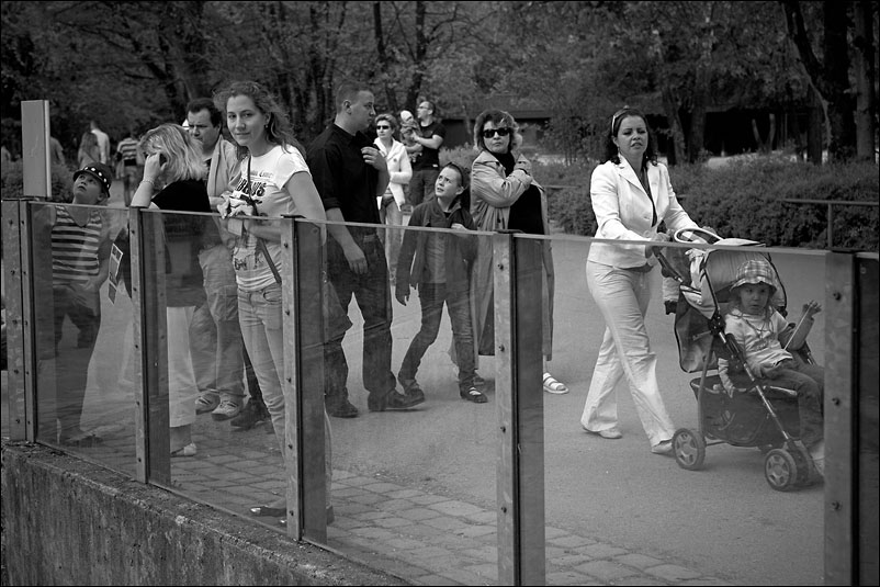Мюнхен. Апрель 2011 года
