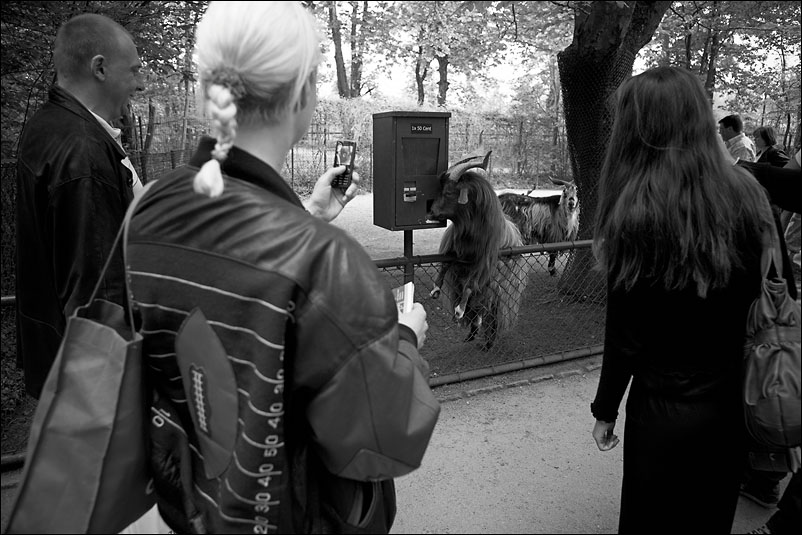 Мюнхен. Апрель 2011 года