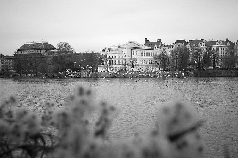 Чехия. Январь 2012 года.
