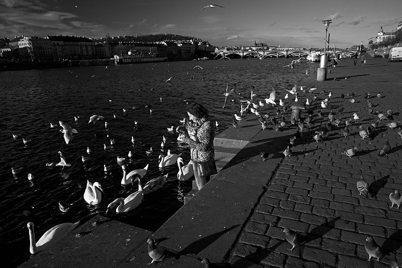 Чехия. Январь 2012 года.