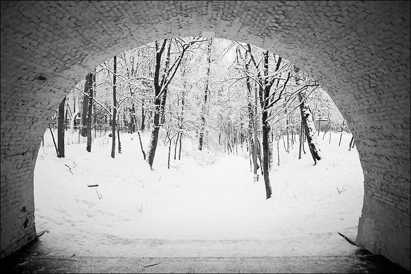 Архангельское. Январь 2012 года
