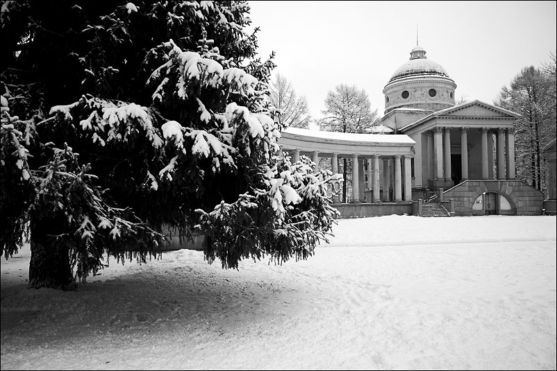 Архангельское. Январь 2012 года
