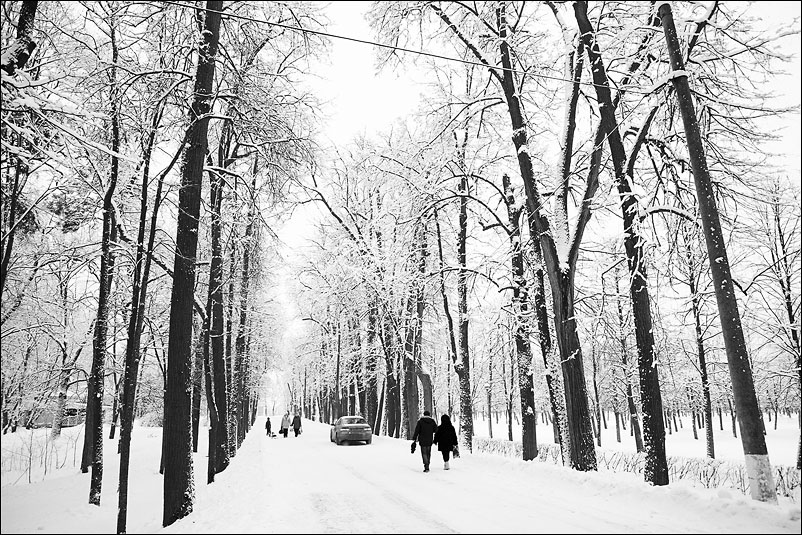 Архангельское. Январь 2012 года